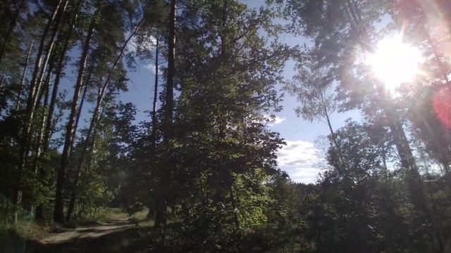 Красивая природа в лесах Тамбовской области