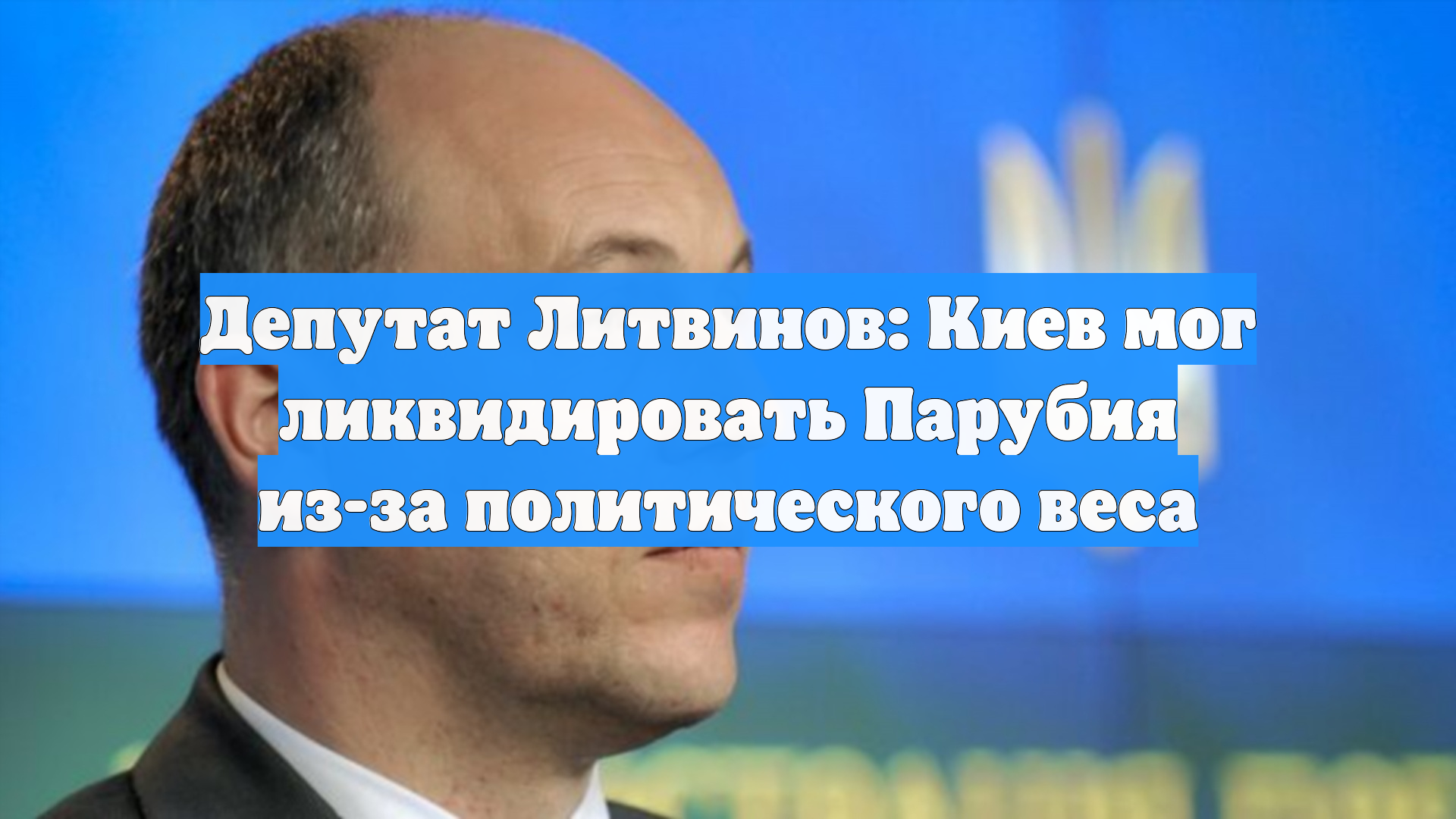 Депутат Литвинов: Киев мог ликвидировать Парубия из-за политического веса