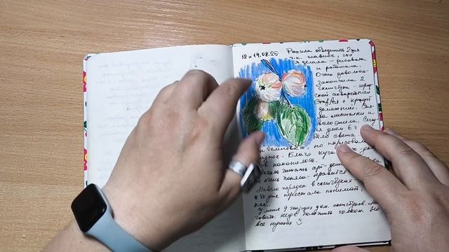 Летний дневник 2025. Часть 2