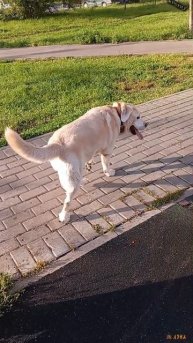 Завтра осень '25