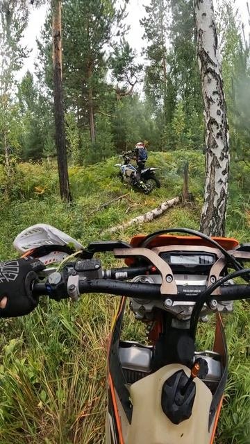 Эндуро гонка борьба хускварны и бревна