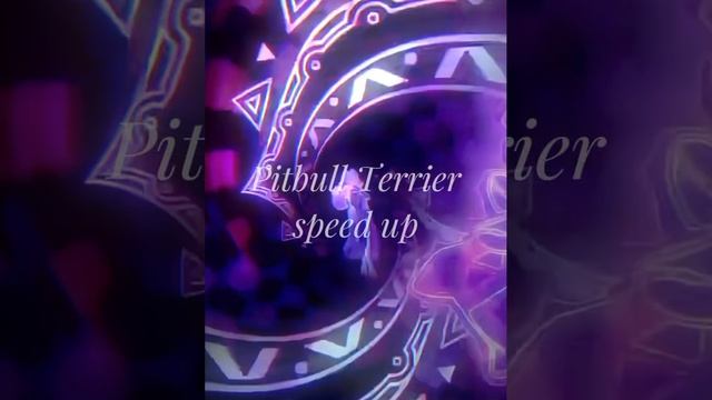Pitbull Terrier speed up