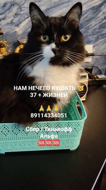 ПОМОЩЬ ПРИДИ 🙏🆘