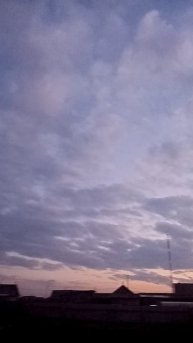 Тихий вечер