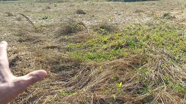 Как работают стеблеподъемники