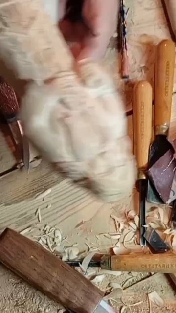 1000143449.mp4