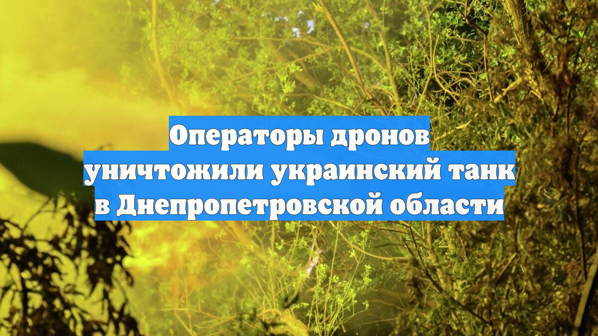 Операторы дронов уничтожили украинский танк в Днепропетровской области