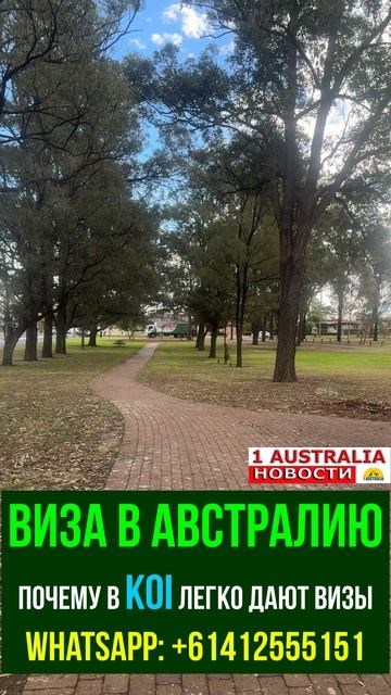 ВИЗА В АВСТРАЛИЮ. ПОЧЕМУ В KOI ЛЕГКО ДАЮТ ВИЗЫ. [#1Australia]#short1286