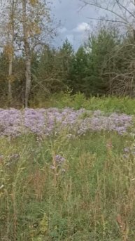 В Юргинском районе (Тюменской области) закрыли минеральный источник.