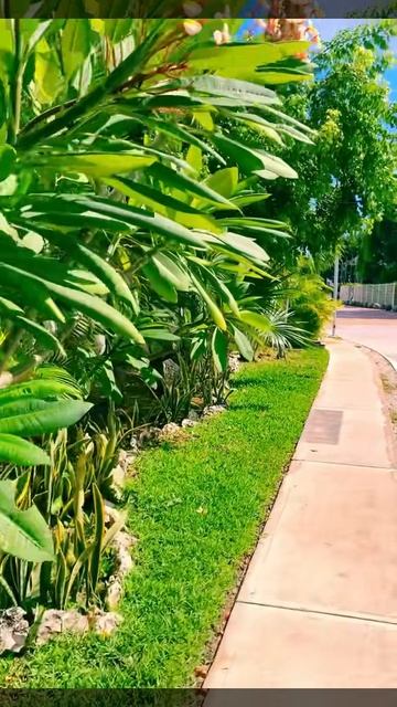 31-08-2025. В Канкуне