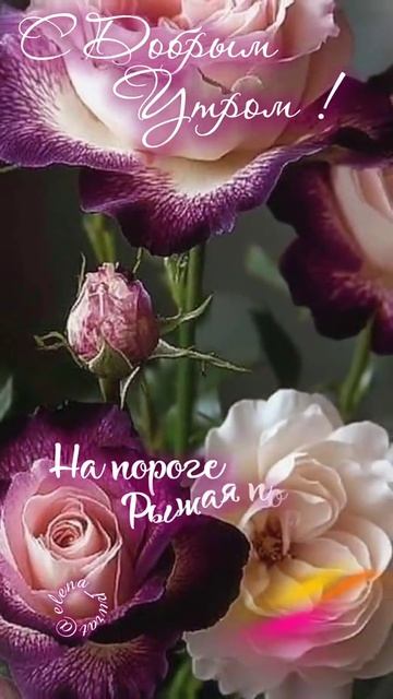 С добрым августовским утром!