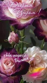 С добрым августовским утром!