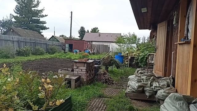Нашли немного овощей на заброшенной даче/как пережить теперь зиму/30.08.25г