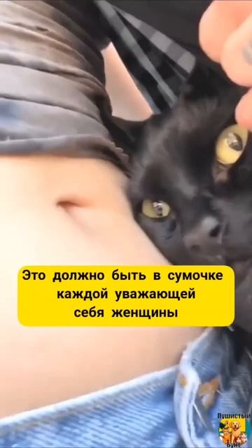 Клип @meowtaverse