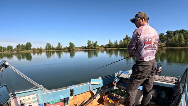 Петухо - мыш. Ловля щуки на бактейл и свимбейт.