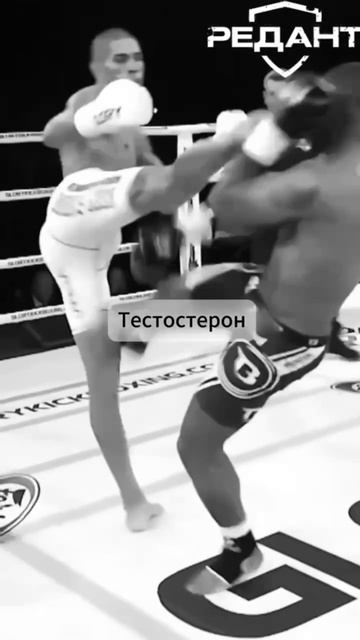 👉 Ссылка в шапке. Жми — и начинай жить по-мужски. Высокий тестостерон — это цифра в анализах?