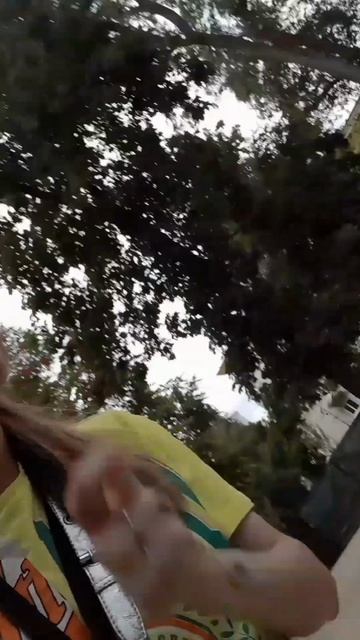 Альпака по знаку зодиака 💫