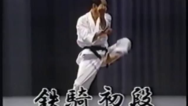 Karate_ Tetsuhiko Asai - Kihon and Kata