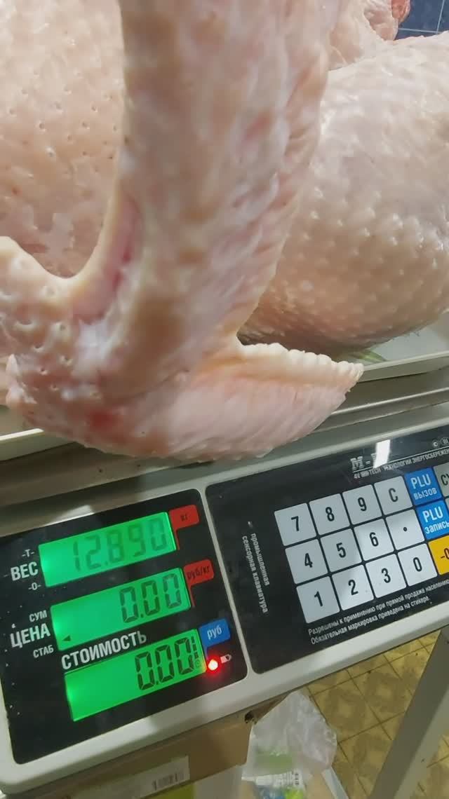 Забой самок Биг 6 Словакия. Вес в 4,5 месяца