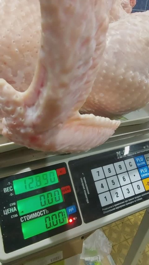 Забой самок Биг 6 Словакия. Вес в 4,5 месяца