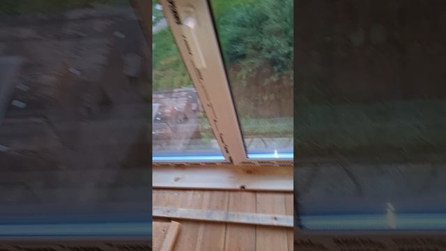 1000033392.mp4 (Собака наблюдает за устройством откосов у оконных проёмов в доме А-фрейм)