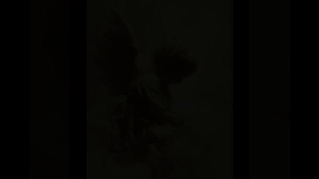 video20250831_010547.mp4