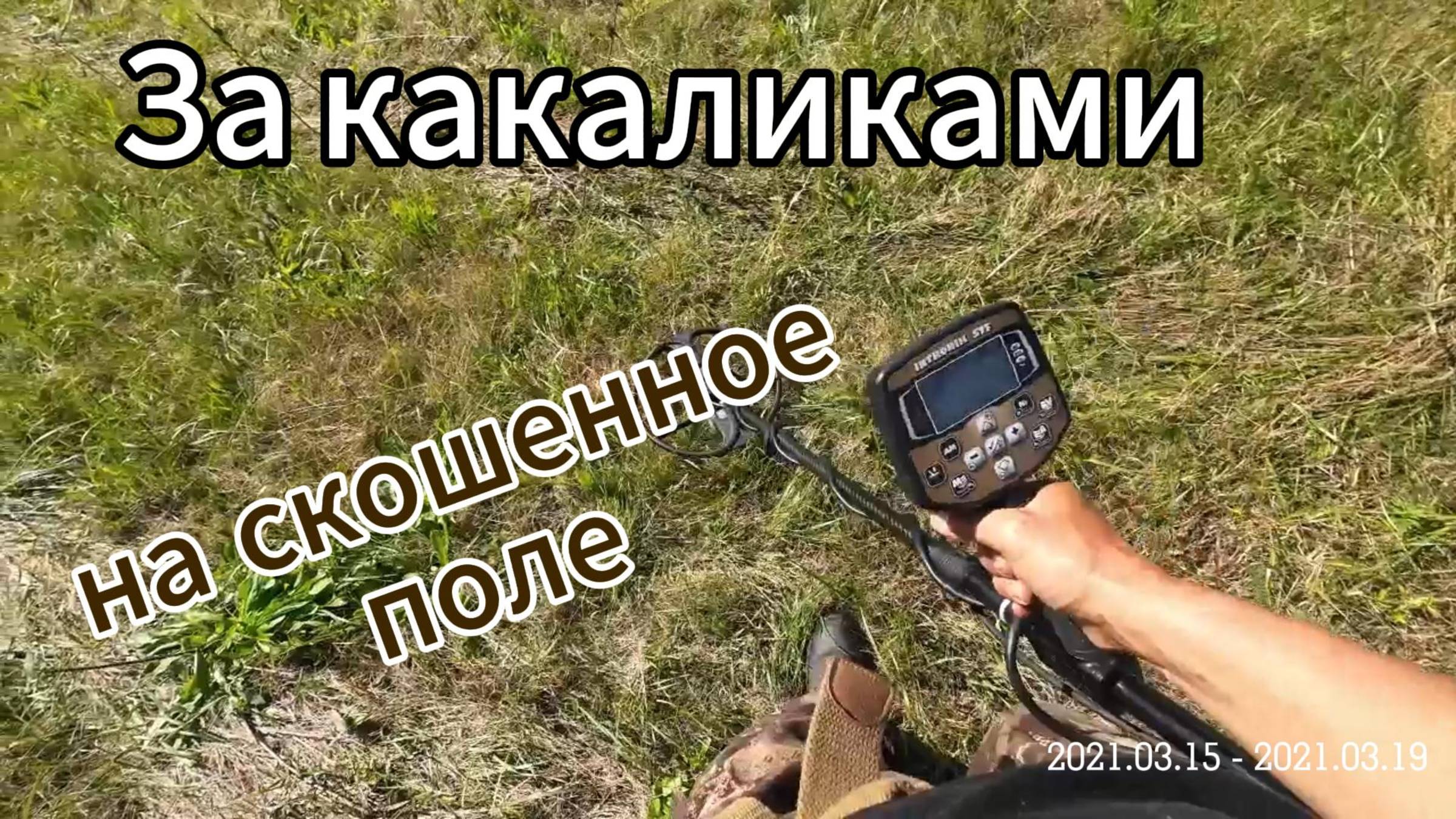 ОПЯТЬ КАКАЛИКИ!