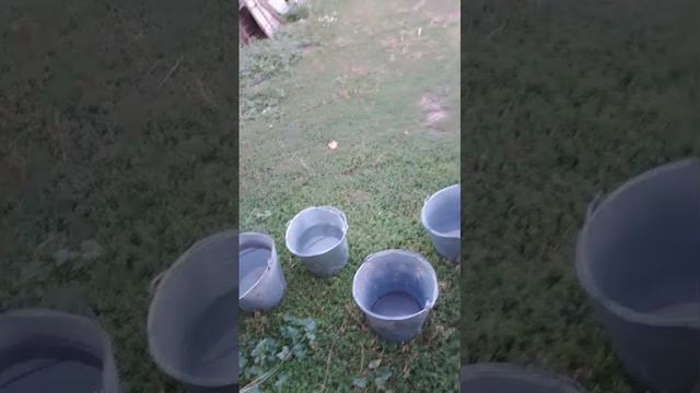 Домашнее хозяйство От Танатара