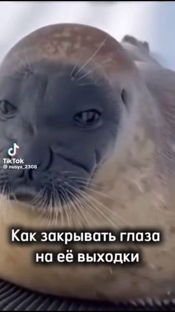 🤣🤣🤣🤣🤣🤣🤣🤣