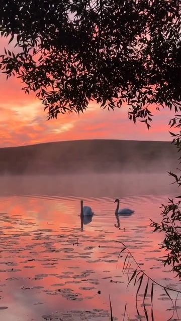 1000007228.mp4. ПОСТАВИМ ЛАЙК 🙏