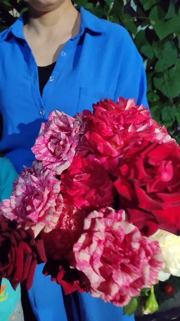 Вырастила букет для первоклашки)) ❤