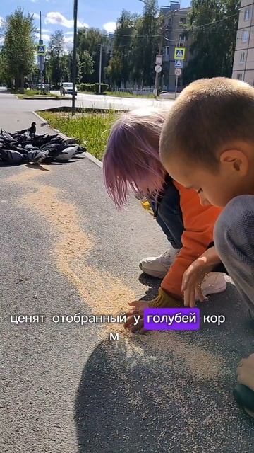 Голуби