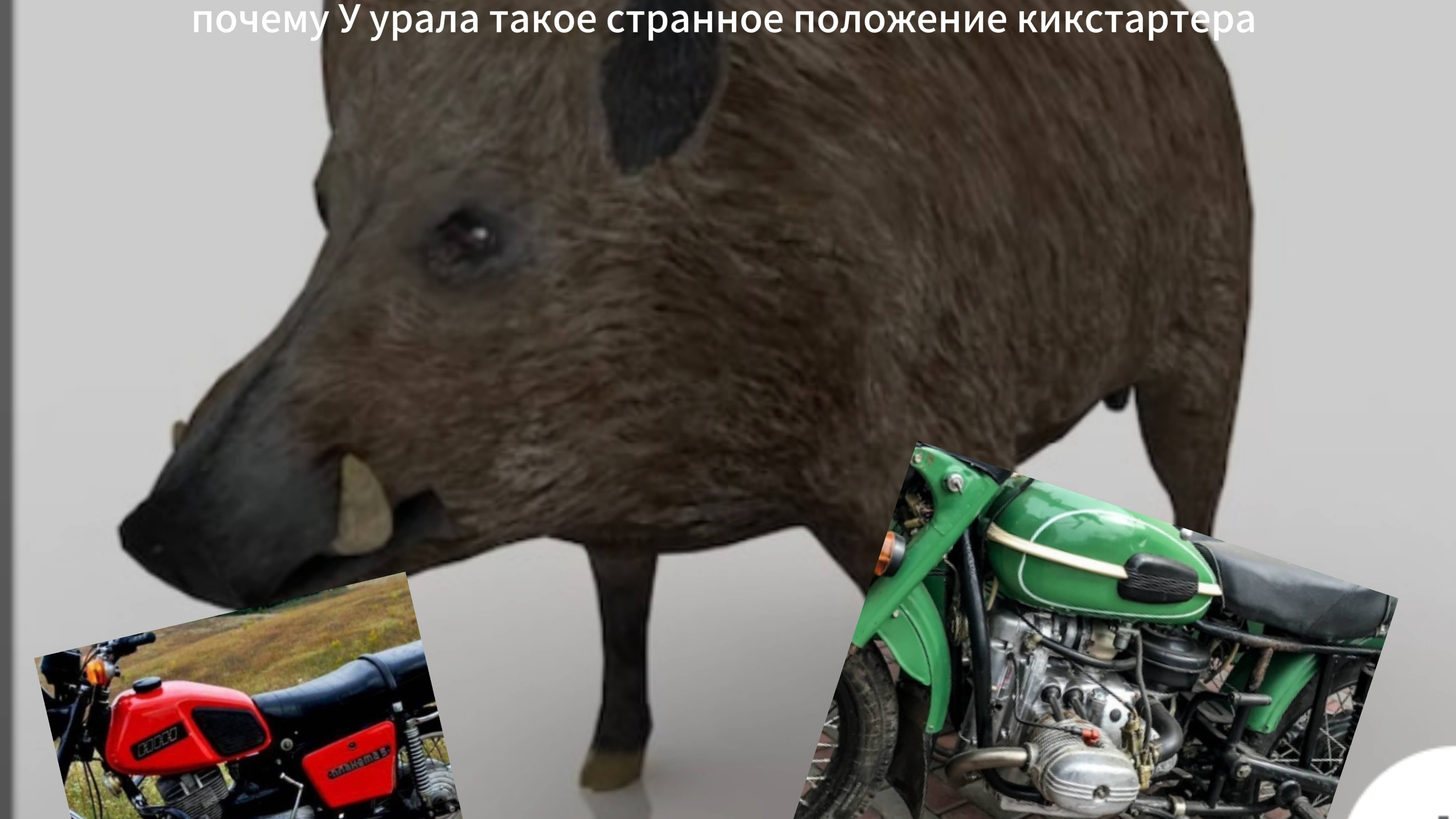 Почему У урала такое странное расположение кикстартера