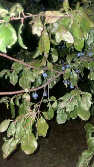 Последние 5 минут перед конца лета