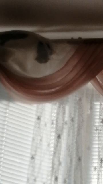 Скалолалалазка