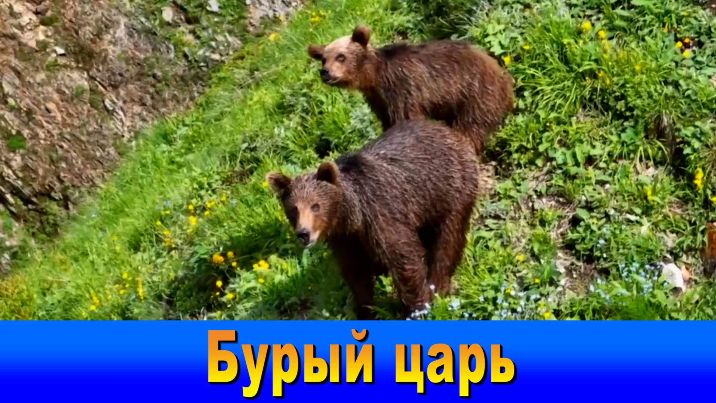 "Наш Сочи" выпуск 76