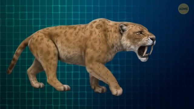 (MULTI) В Бразилии найдены древние подземные туннели, и они НЕ созданы человеком!