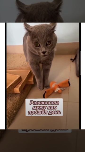 Позитивчика вам #позитив