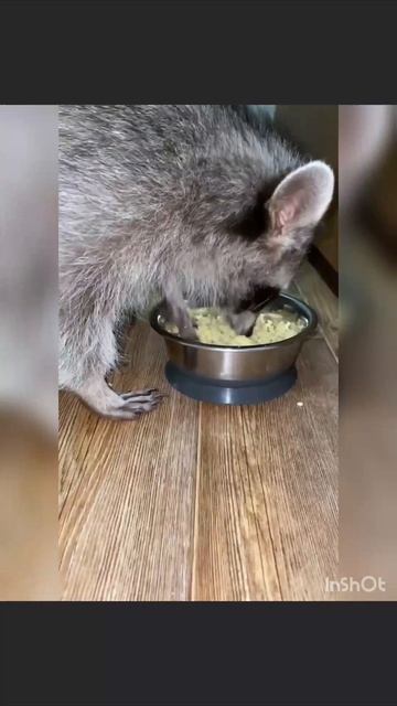 приятного аппетита 😋