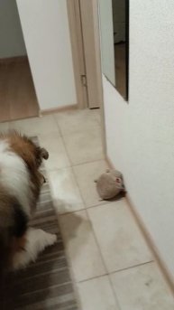 21 день лечения