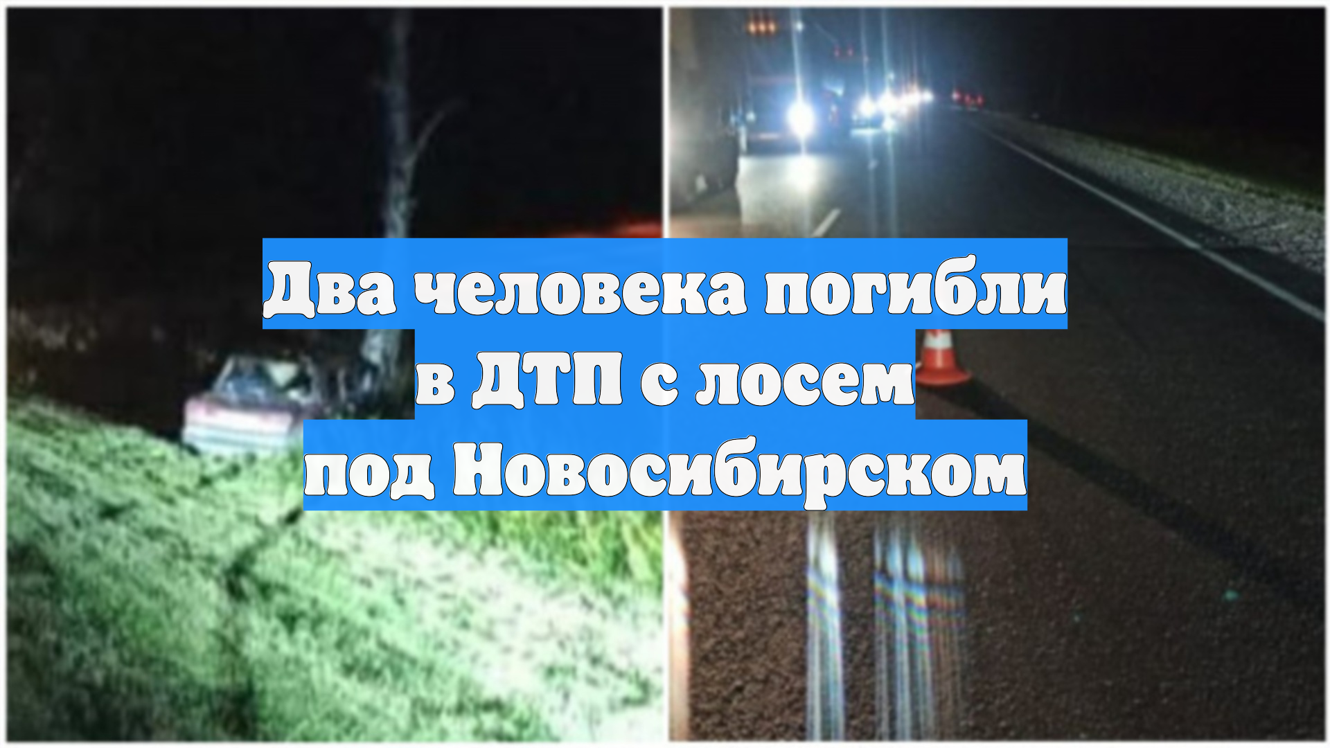 Два человека погибли в ДТП с лосем под Новосибирском