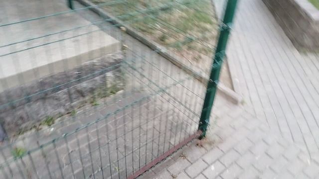 Делаем хулиганства 3 часть друг возвращается 
