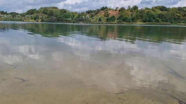 СМОТРЕТЬ ВИДЕО КЛИПЫ БЕСПЛАТНО 2025 БЕЗ РЕГИСТРАЦИИ 2025 НОВЫЕ ХИТЫ РЕЛАКС ВИДЕО КЛИПОВ