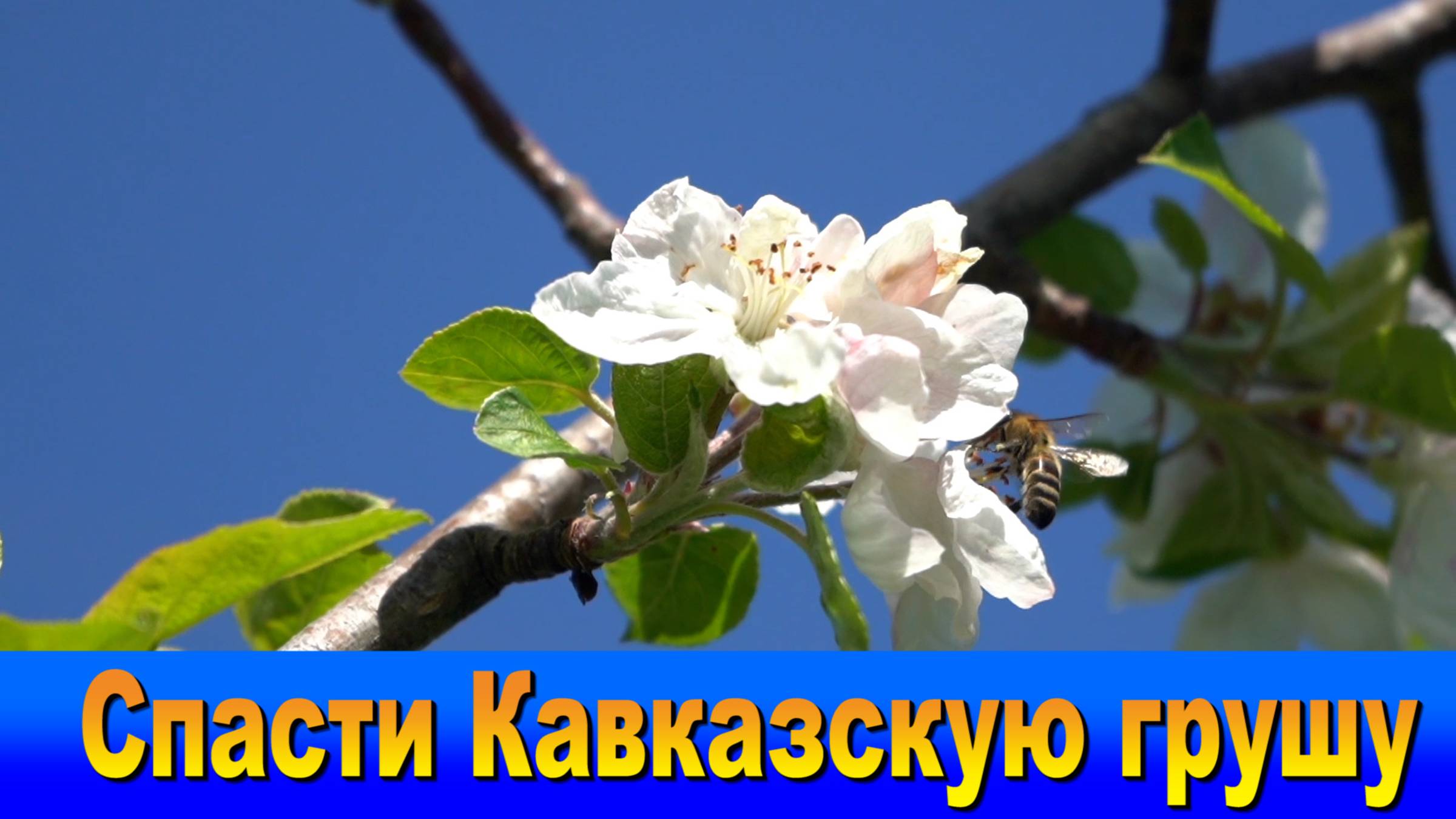 "Наш Сочи" выпуск 81