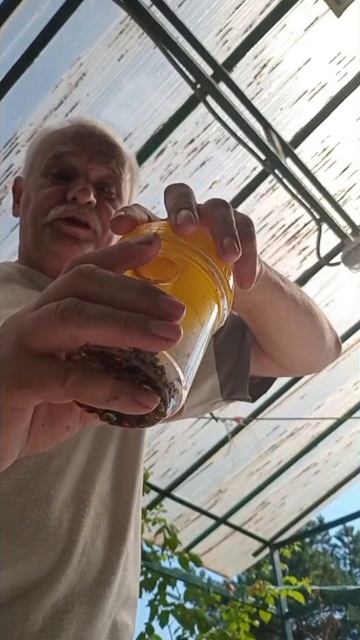 Особо опасная ловушка для ОС