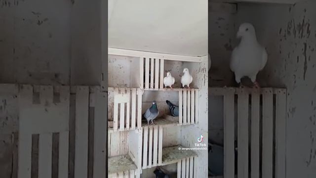 1000008809.mp4