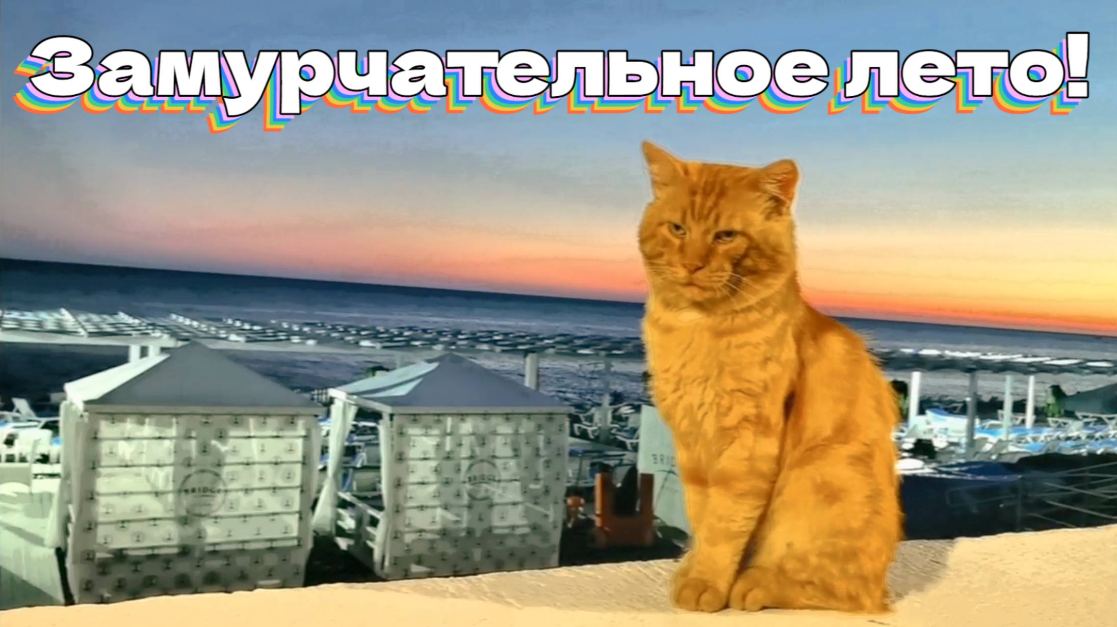 Замурчательное лето!
