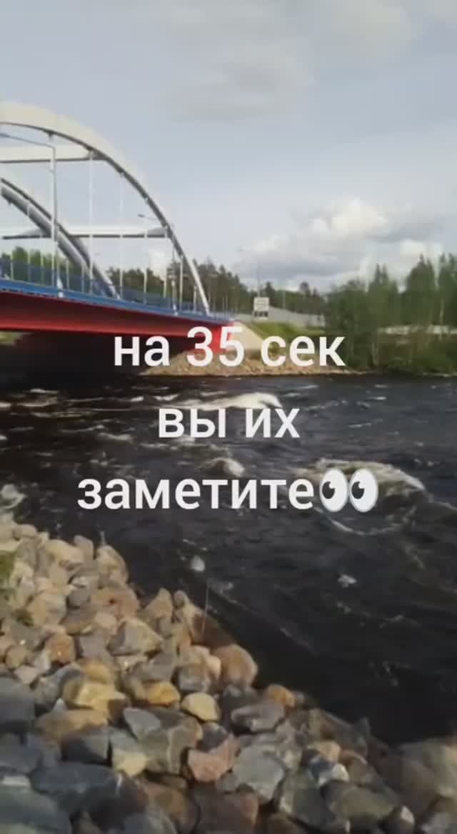 Это Карелия, это сила🌊🌊🛶🌊🌊