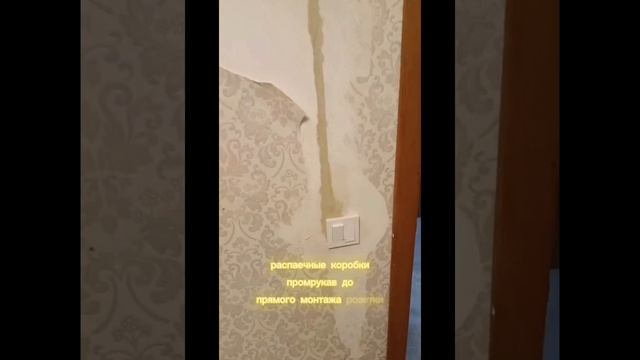 Новая чистовая электропроводка квартира 41кв/м.