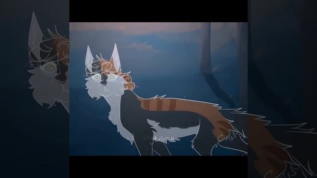 эдиты Коты воители видео не мои